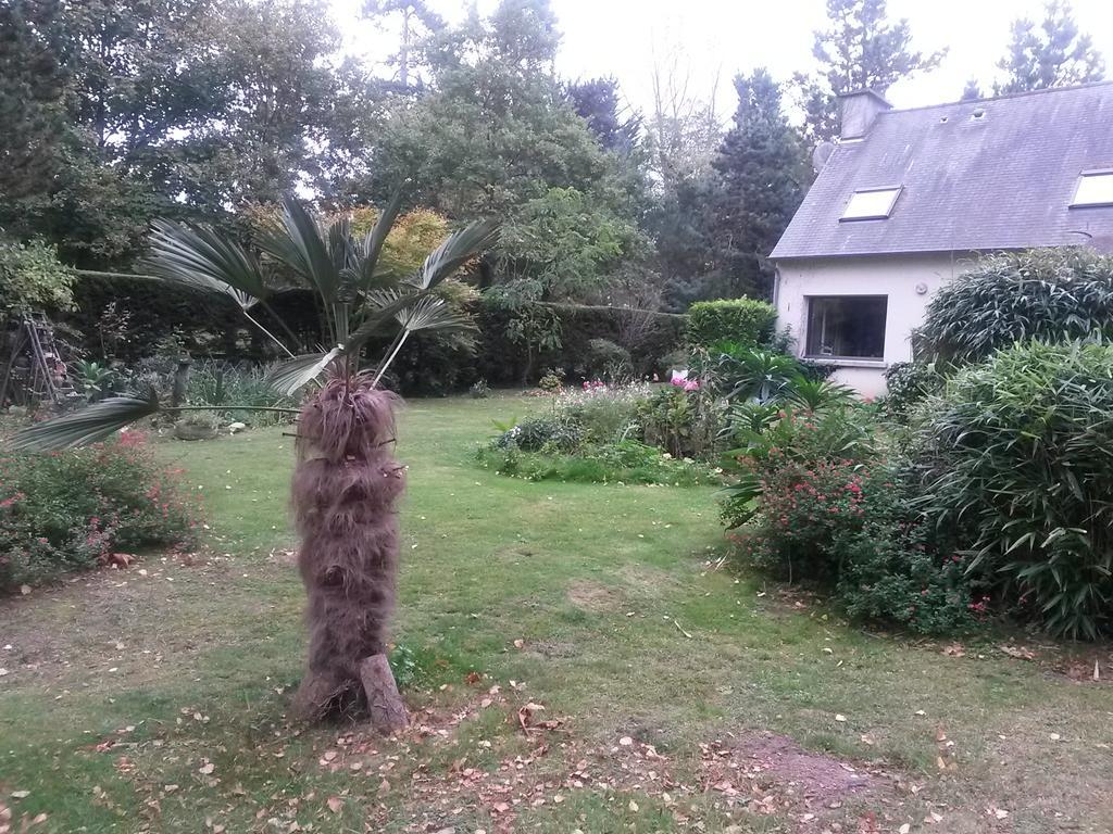 Chambres d'Hôtes Les Mimosas Sables-d'Or-les-Pins Exterior foto